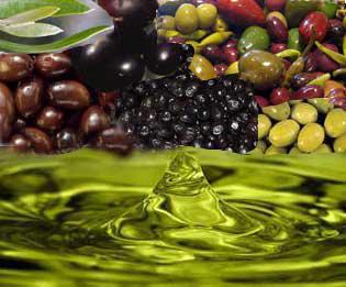 Public product photo - OILS  Olive oil, sunflower oil